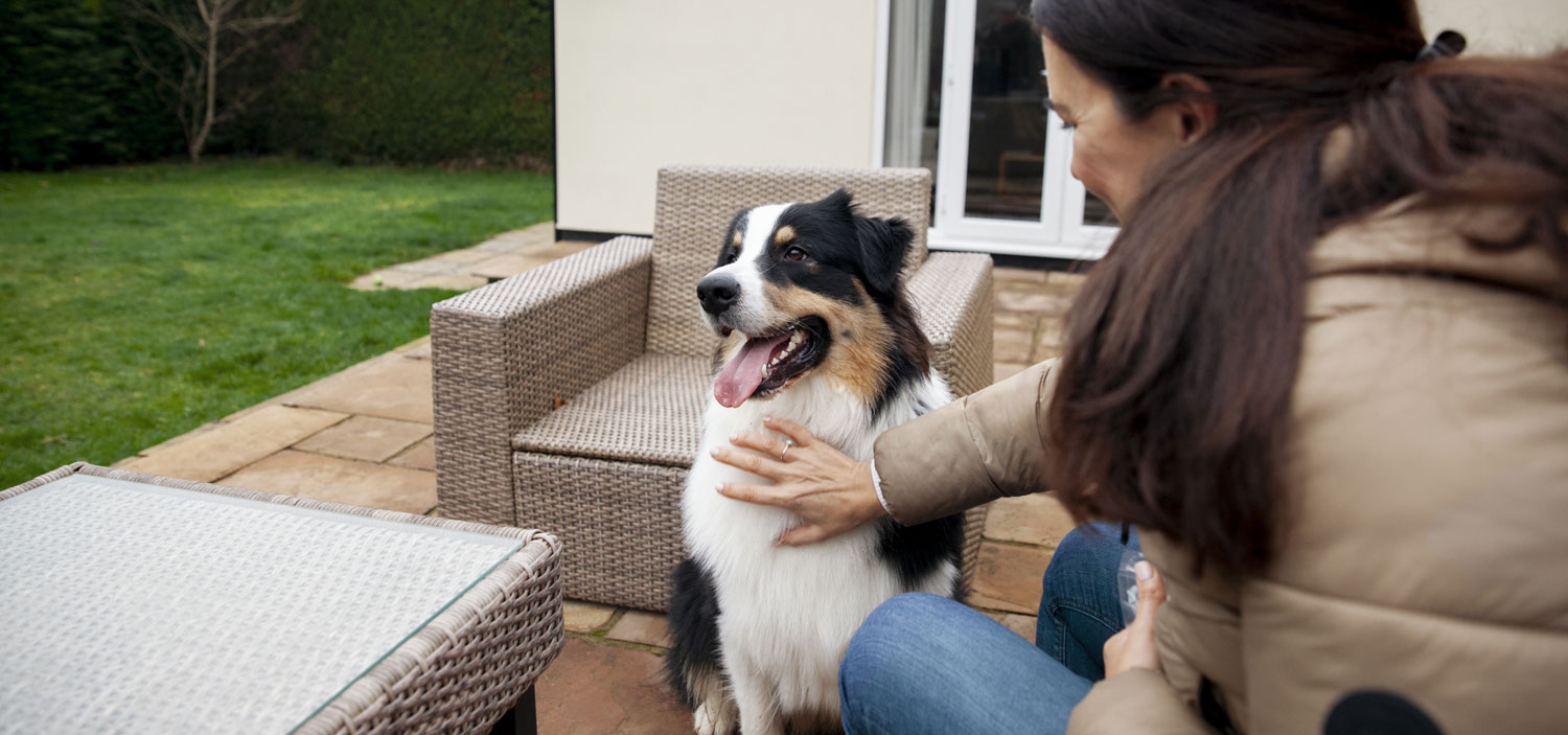 pension pour chien familiale.jpg